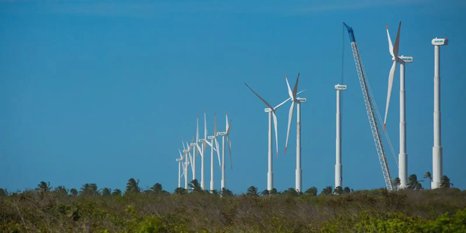 Imagem referente a Projeto mapeia caminhos para economia verde no Nordeste