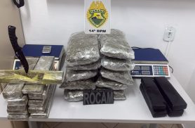 Adolescente é apreendida com mais de 22 quilos de maconha em ônibus em Foz do Iguaçu