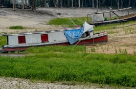 COP17 começa na Mongólia com foco em seca, terra e financiamento