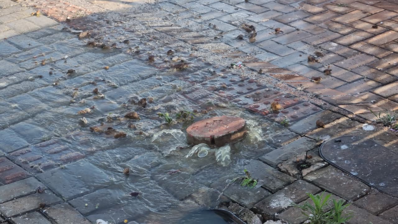 Insalubre: Moradores convivem com fezes e esgoto na porta de casa em Cascavel