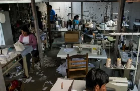 Em 13 anos, MG tirou 5,6 mil pessoas de trabalho análogo à escravidão