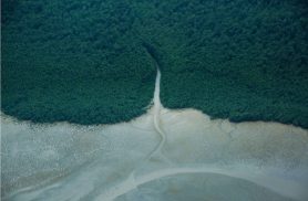 Petrobras confirma presença de petróleo na Foz do Rio Amazonas e amplia expectativa na região