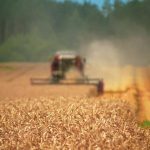 Imagem relativa a Dia Nacional do Campo Limpo reforça importância da destinação correta de embalagens de defensivos agrícolas