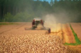 Dia Nacional do Campo Limpo reforça importância da destinação correta de embalagens de defensivos agrícolas