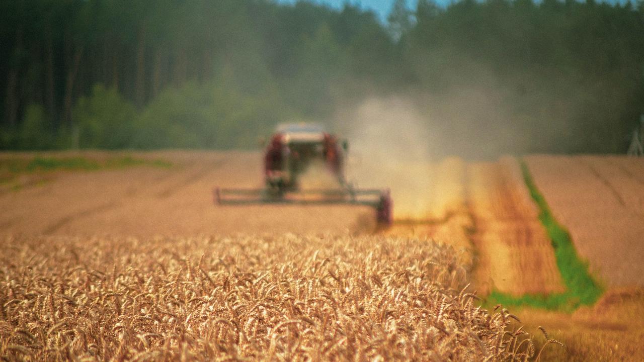 Imagem referente a Dia Nacional do Campo Limpo reforça importância da destinação correta de embalagens de defensivos agrícolas