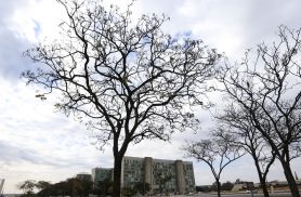 Grande parte do país tem temperaturas elevadas nesta terça-feira