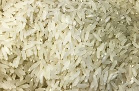 Terremoto: Brasil doará 10 toneladas de arroz à Colômbia