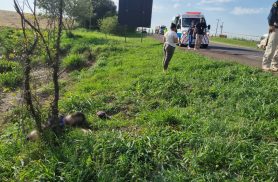 Júlio César Velozo Leal, desaparecido desde sábado é encontrado morto às margens da BR-163, em Cascavel