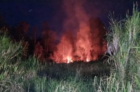 Incêndio em área ambiental mobiliza equipes no Bairro Morumbi