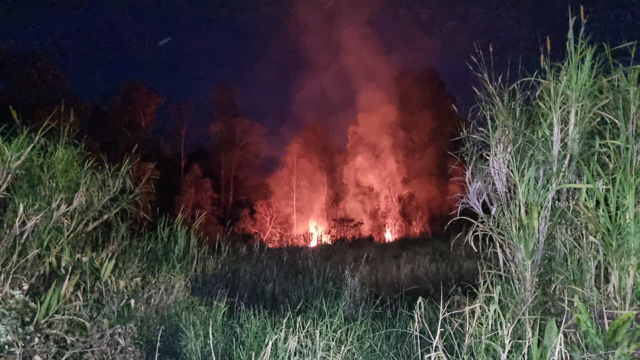 Incêndio em área ambiental mobiliza equipes no Bairro Morumbi