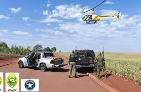 Polícia apreende 680 kg de maconha em Assis Chateaubriand após perseguição policial