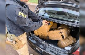 PRF apreende quase 100 kg de maconha em carro na BR-277