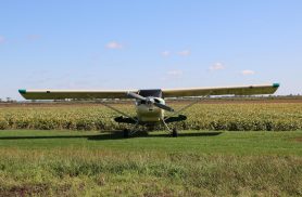 Dia Nacional da Aviação Agrícola: história e importância da atividade celebrada em 19 de agosto