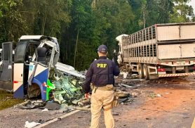 Quem são as vítimas do acidente com 23 mortes na BR-373 em Ipiranga?