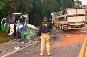Colisão frontal entre ônibus e carreta deixa mortos e feridos na BR-373, em Ipiranga