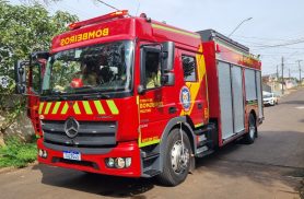 Corpo de Bombeiros é acionado para capturar cobra no Guarujá