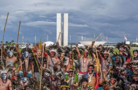 Eleições de 2026 registram recorde de candidaturas indígenas
