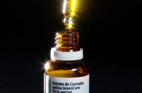 Autorizações para importação de cannabis aumentam 29% em 2026
