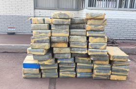 PM apreende 680 kg de maconha e adolescente em Assis Chateaubriand