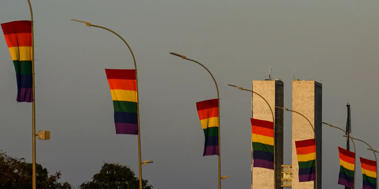 Imagem referente a Candidaturas LGBT+ têm recorde em 2026 e se espalham por mais partidos