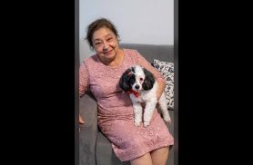 Cachorra Belinha desapareceu no bairro Parque São Paulo