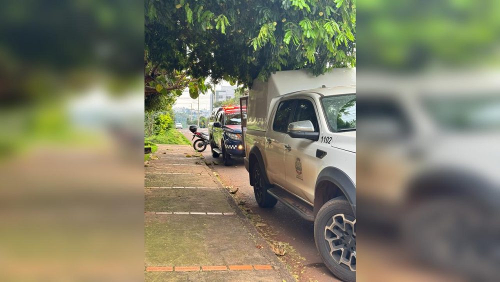 Pitbulls escapam e atacam cadela dentro de residência em Toledo Imagem referente a Pitbulls escapam e atacam cadela dentro de residência em Toledo