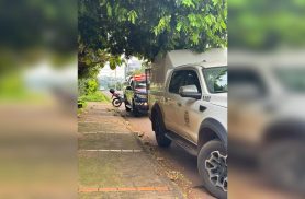 Pitbulls escapam e atacam cadela dentro de residência em Toledo