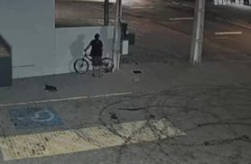 Câmera flagra homem de bicicleta furtando fiação de centro automotivo em Cascavel