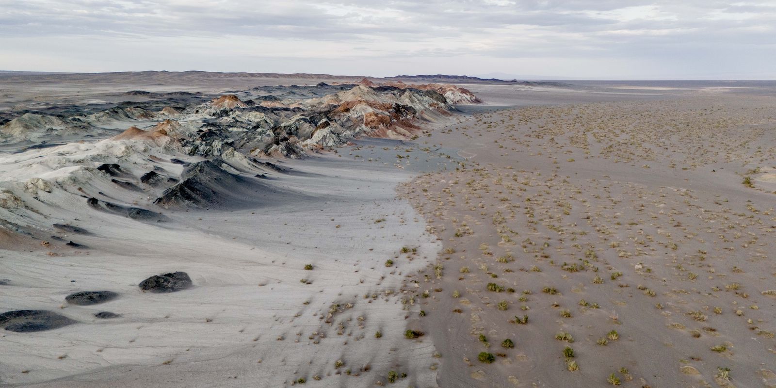 Imagem referente a Fungos podem restaurar terras degradadas e combater crise climática