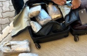 Passageiro paraguaio é detido com 10 quilos de maconha escondidos em mala na Ponte da Integração
