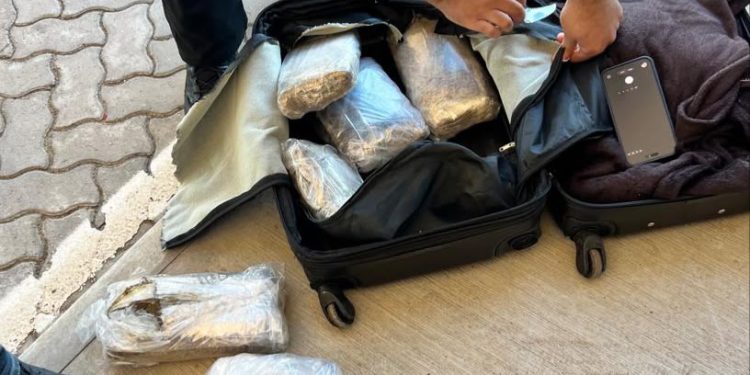 Passageiro paraguaio é detido com 10 quilos de maconha escondidos em mala na Ponte da Integração Imagem referente a Passageiro paraguaio é detido com 10 quilos de maconha escondidos em mala na Ponte da Integração