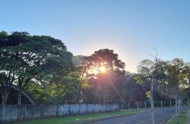 Domingo será de sol e temperaturas baixas em Cascavel