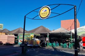 Feira do Teatro movimenta manhã de domingo em Cascavel
