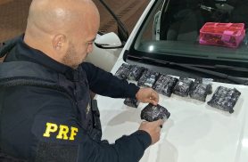 PRF apreende 392 ampolas de toxina botulínica sem comprovação de importação na BR-277