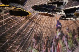 Povos Katxuyana e Kahyana contam retomada de território pela arte