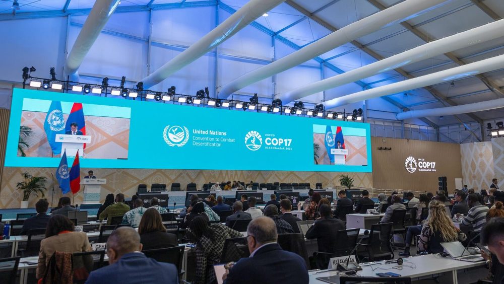 COP17 entra em semana decisiva com missão de destravar financiamento Imagem referente a COP17 entra em semana decisiva com missão de destravar financiamento