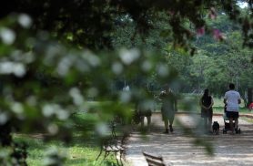 Frio perde intensidade no Sul e seca persiste no centro do país
