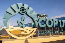 Estados do Nordeste tentam atrair investimentos para Caatinga na COP17