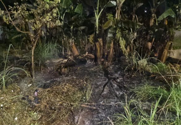 Bombeiros controlam incêndio em galhos secos no Bairro Universitário, em Cascavel