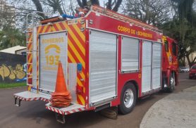 Homem leva picada na rua, equipes dos Bombeiros e Defesa Civil são acionadas mas nada é encontrado