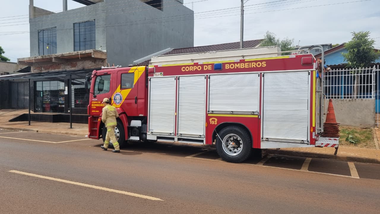 Felino se envolve em apuro e precisa de resgate dos Bombeiros em Cascavel