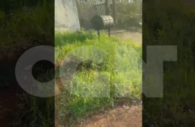 Moradora denuncia abandono de ponto de ônibus no Turisparque