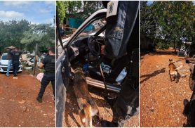 Operação Elo Forte combate tráfico de drogas em Cascavel e resulta em 12 conduções