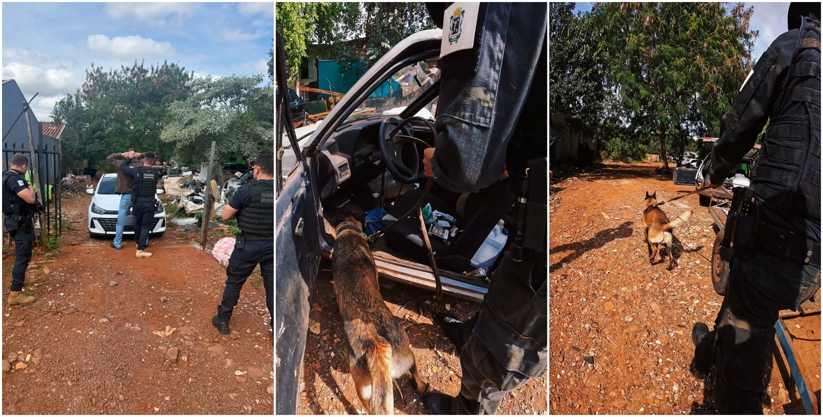 Imagem referente a Operação Elo Forte combate tráfico de drogas em Cascavel e resulta em 12 conduções