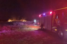Fogo se espalha por área verde e mobiliza Bombeiros em Cascavel