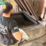 Imagem relativa a Polícia Civil incinera mais de 17 toneladas de drogas apreendidas em 2026