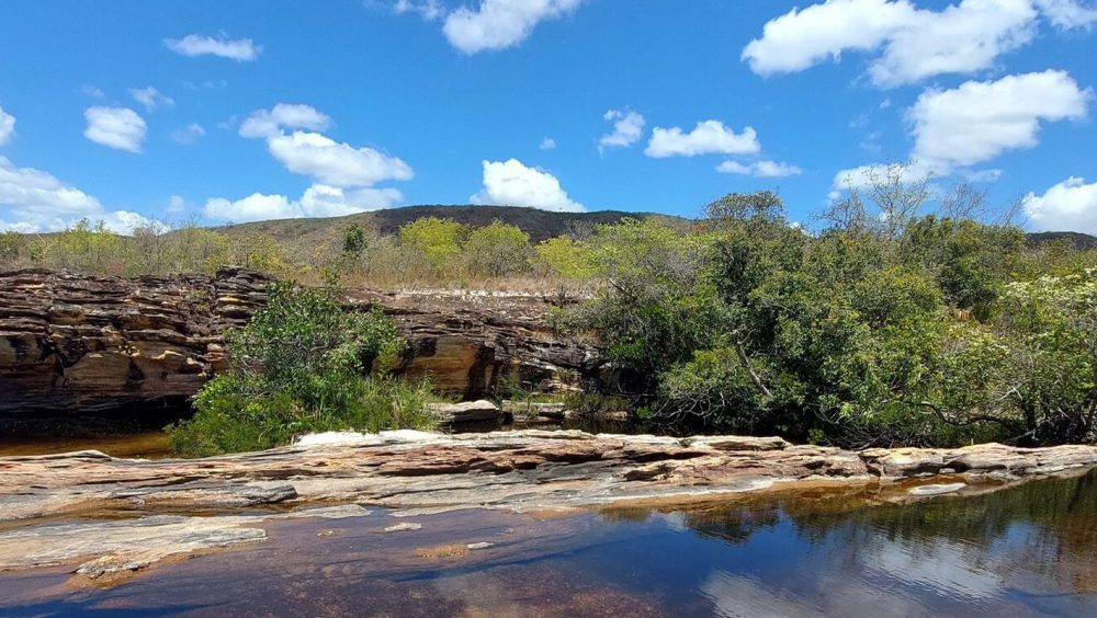 Imagem referente a Pantanal: enfrentar mudanças climáticas depende de outros cinco biomas