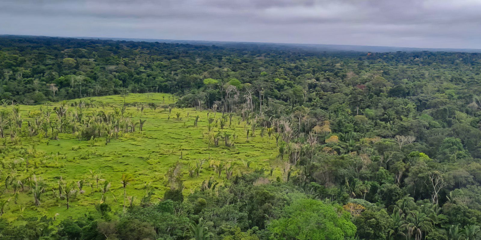 Imagem referente a Imazon aponta desmatamento zero em 60% de terras indígenas na Amazônia