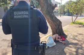 Homem atira pedras em veículos, ameaça pessoas e tira cochilo na chegada da Guarda Municipal