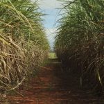 Conselho eleva limite de remuneração do Eco Invest Brasil Imagem relativa a Conselho eleva limite de remuneração do Eco Invest Brasil